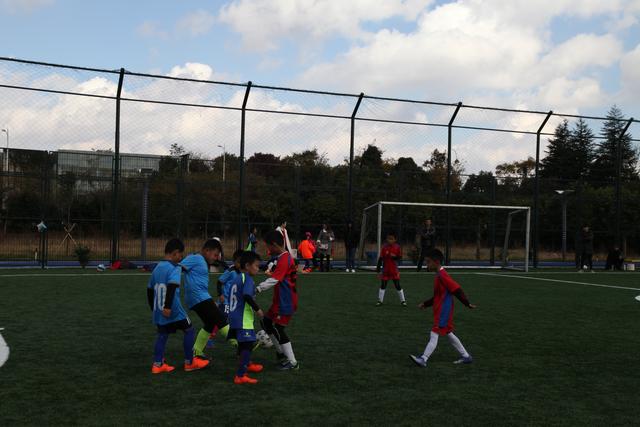 库里13分李凯尔8分 勇士擒灰熊3连胜排西部第2